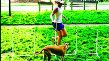 Entrenar y pasear al perro a la vez