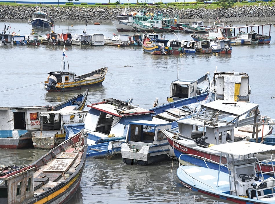 Reglamentación de ley de pesca se hará en dos fases