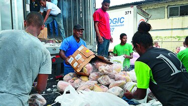 Cuestionan compra de jamones del IMA