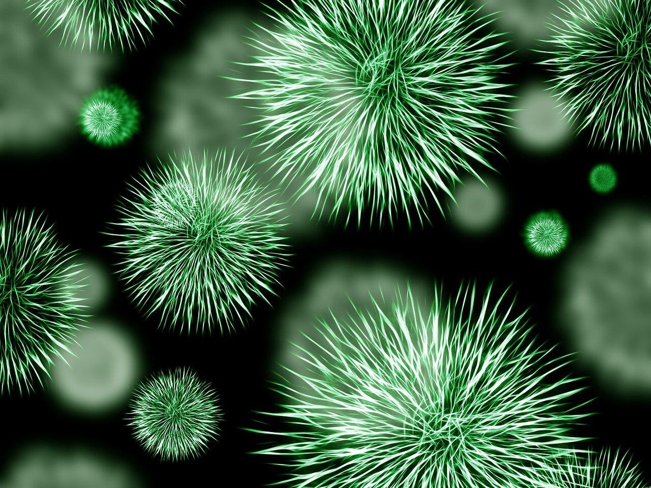 Bacterias: Los Microorganismos Secretos Que Alimentan y Enferman a Panamá
