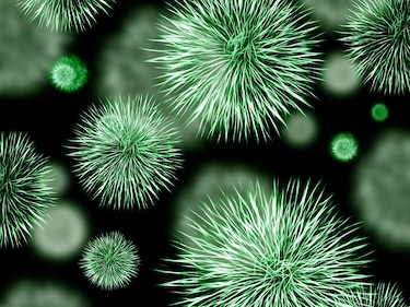 Las bacterias: un pequeño mundo de grandes oportunidades