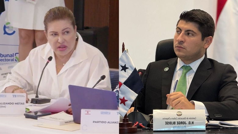 Partidos políticos ‘se reúnen y coordinan aparte’ propuestas de reformas electorales: Bloise