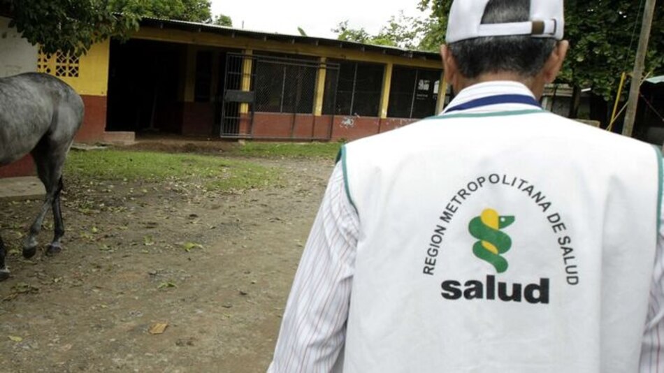 El Minsa confirma más de 100 casos de lesiones en la piel por pelusa de mariposa