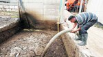 Vacas como fuente de electricidad