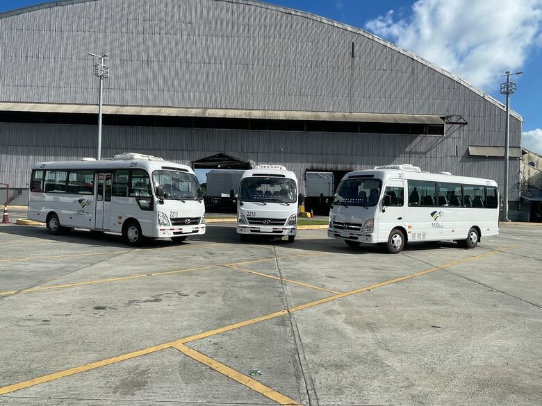 Mi Bus planea renovar su flota: 400 buses superan los 800 mil kilómetros