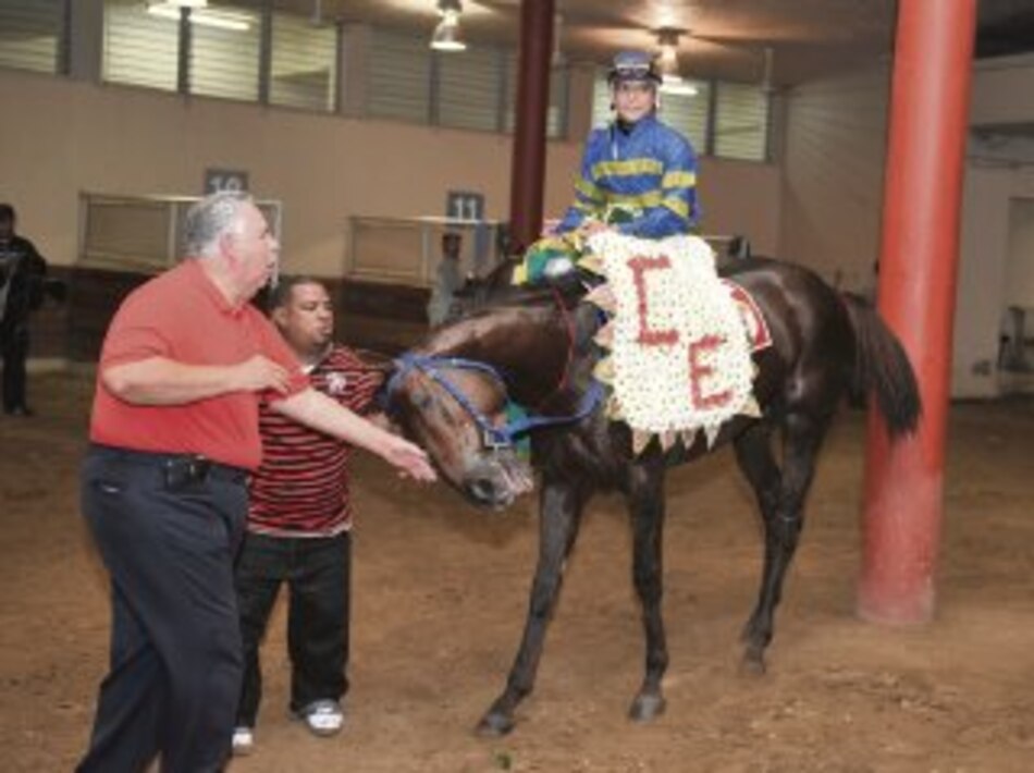 ‘Memento’ y ’El Quiche’ logran clasificación