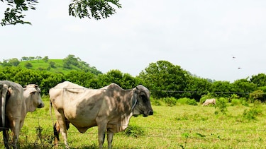 Riqueza natural e histórica