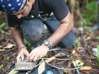 Cuarentena no detiene la lucha por el jaguar