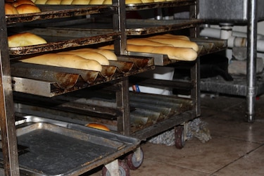 Desde gatos hasta presencia de plagas, esto fue lo que encontró Salud en panadería
