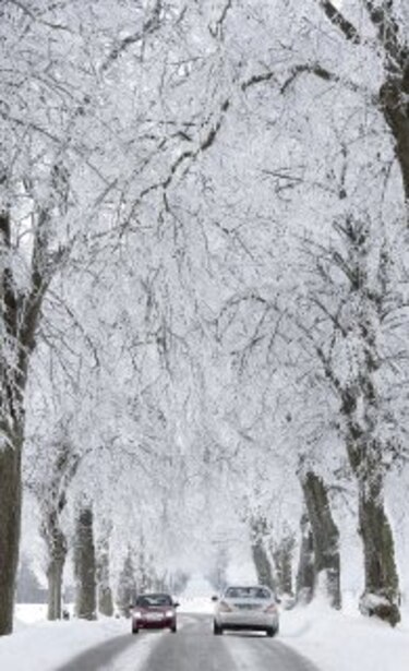 Alemania despide el año con fuertes nevadas