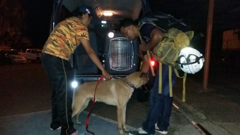 Buscan a colombiana perdida en sendero El Pianista