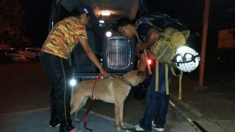 Buscan a colombiana perdida en sendero El Pianista