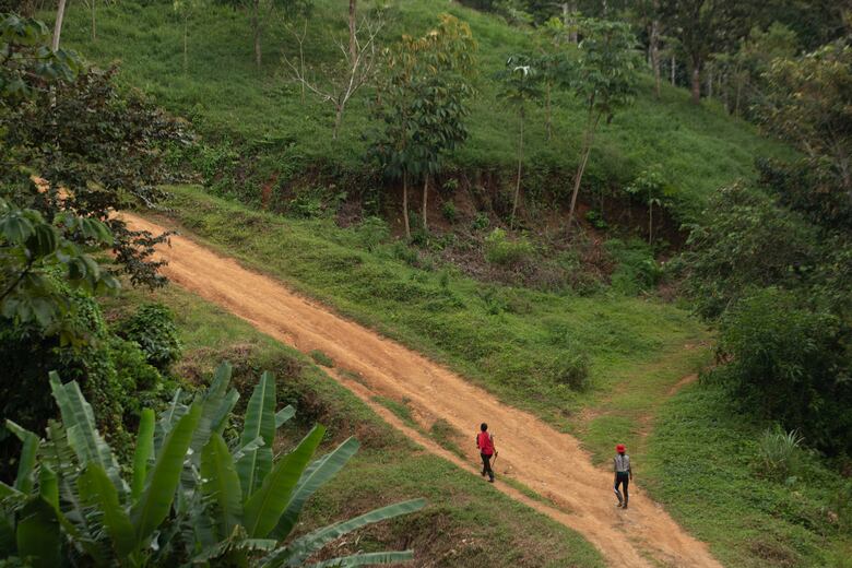 Sin agua, sin luz y sin caminos: así viven en una comunidad del corregimiento comandado por ‘Geñito’ Delgado