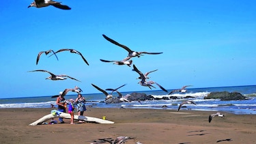 El pacífico Pedasí