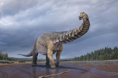 El dinosaurio más grande de Australia fue identificado como especie nueva