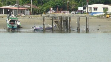 Sinaproc ordena clausura de muelle de Mensabé