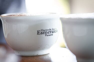 Café geisha panameño rompió récord al venderse en más de $30 mil por kilo