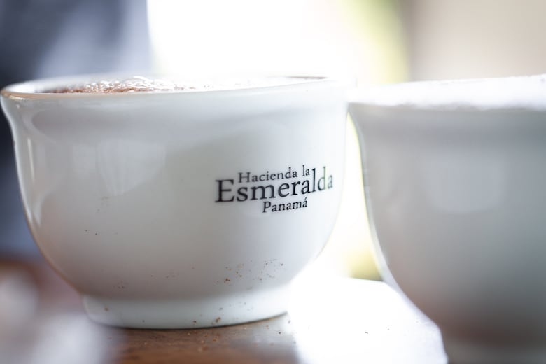 Café geisha panameño rompió récord al venderse en más de $30 mil por kilo