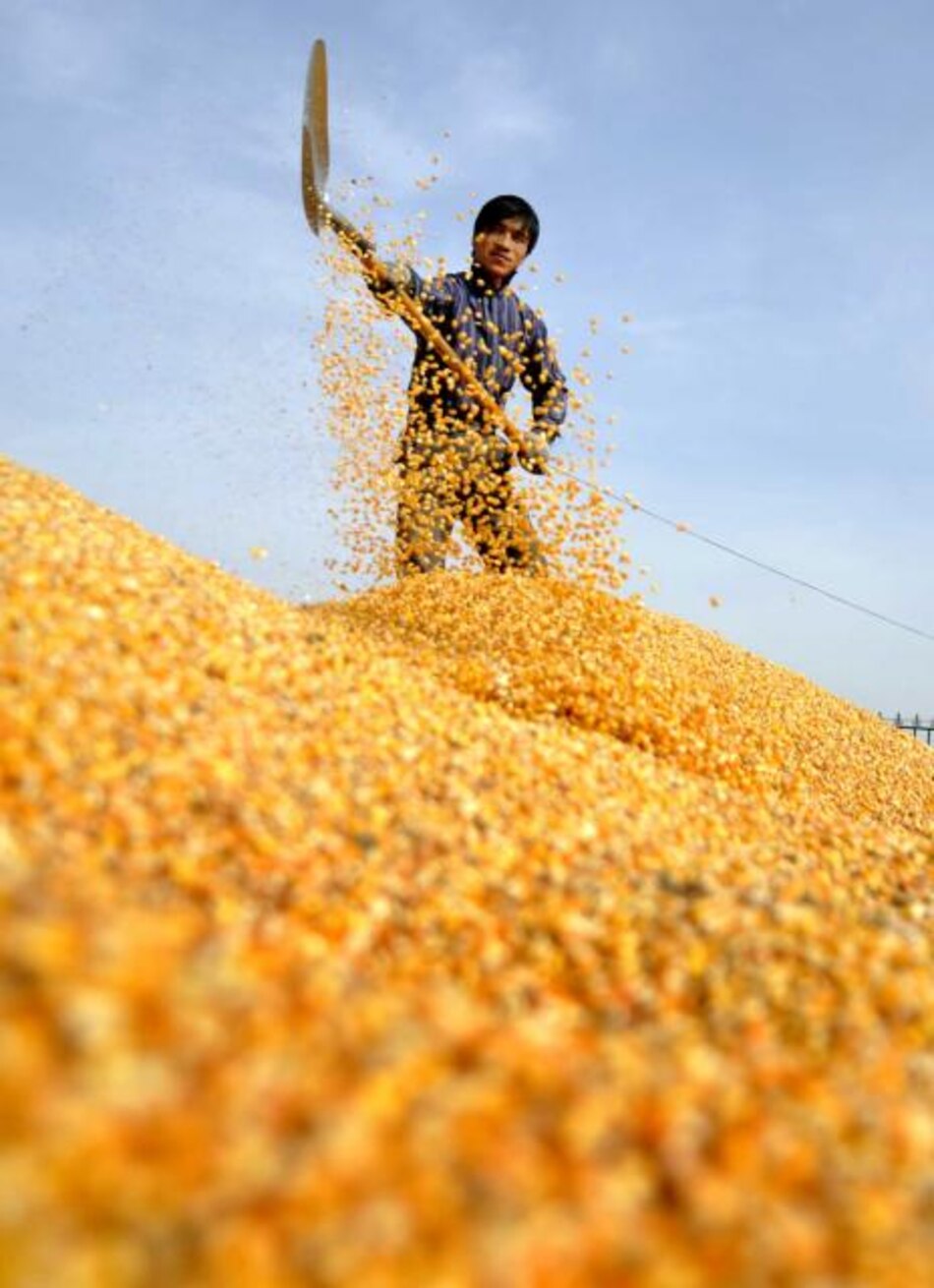 China financia métodos de riego de bajo consumo para aumentar producción