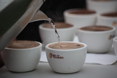 Panamá celebra una subasta electrónica con cafés de lujo partiendo de 100 dólares el kilo