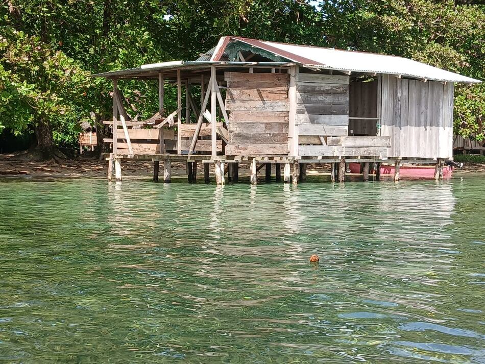 MiAmbiente cierra por un año la Isla Escudo de Veraguas para proteger ecosistemas en peligro crítico