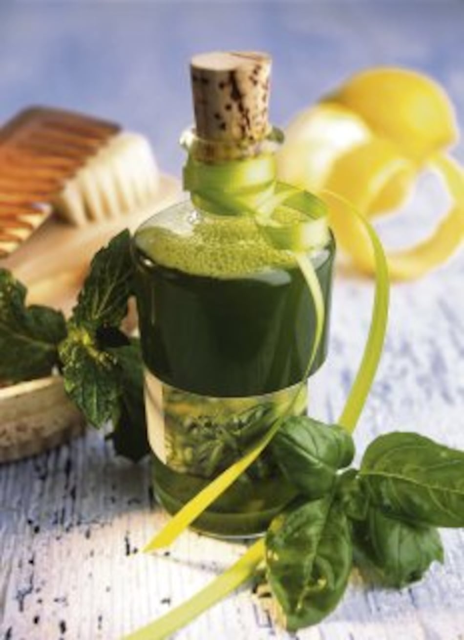 ¿Cómo conservar la albahaca?