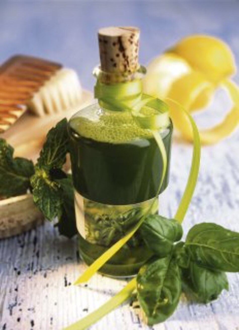 ¿Cómo conservar la albahaca?