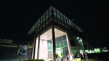 La noche es de los murciélagos