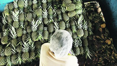 SIP: ‘La industria está en crisis’