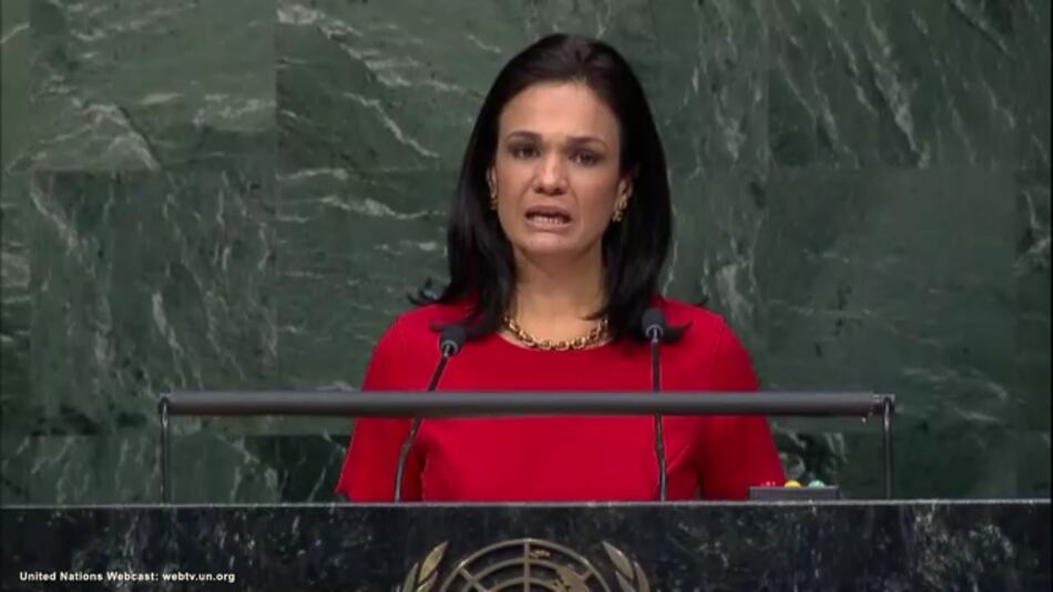 Canciller reitera compromisos de Panamá ante Naciones Unidas