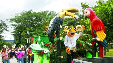 El Valle de Antón se prepara para honrar a la rana dorada