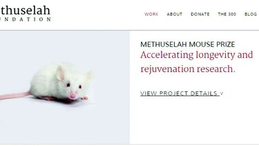 El ser humano podrá ser inmortal en el año 2045