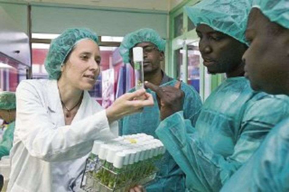 África, amenazada por el sarampión