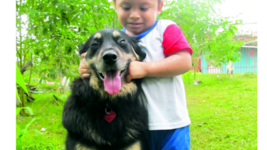 Consentidos: ‘Barney’ apuesta a la lluvia