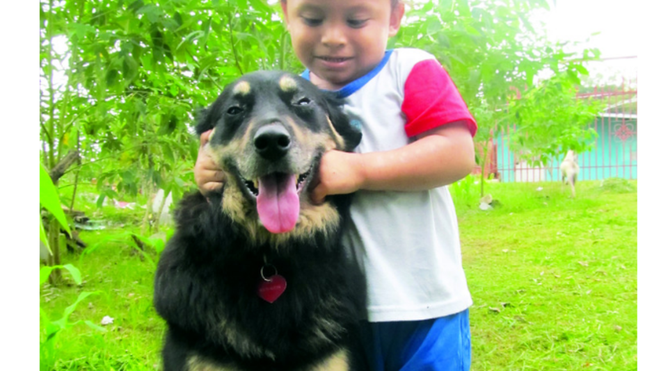 Consentidos: ‘Barney’ apuesta a la lluvia