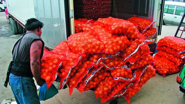 Alerta por venta de cebolla