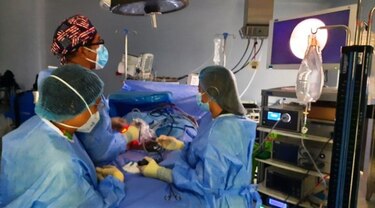 Pacientes de reemplazo articular o resonancias de rodilla deben esperar hasta el 2025 por procedimientos