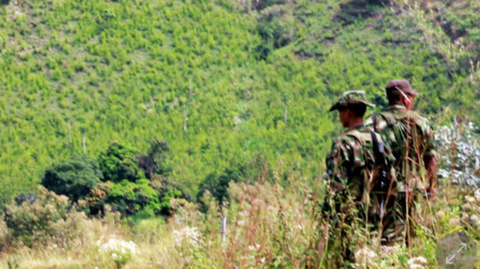 Colombia: guerrilleros de las FARC heridos en 'combate' por el Ejército