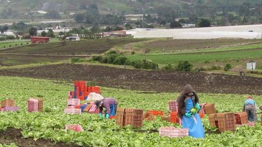 Tierras altas chiricanas definirán rutas turísticas