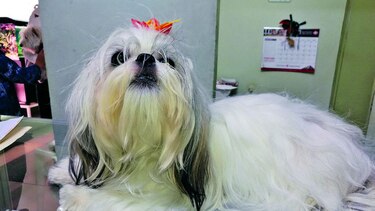 La dulce Nyky