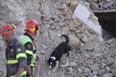 Al menos 247 muertos y numerosos desaparecidos por devastador terremoto en Italia