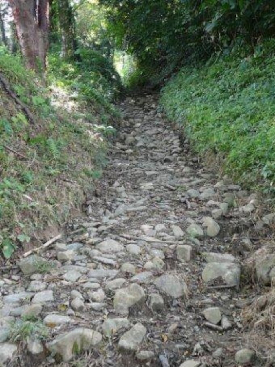 Los fascinantes caminos del istmo