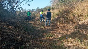 Los incendios de ‘masa vegetal’ persisten en la provincia de Los Santos: Ministerio de Ambiente