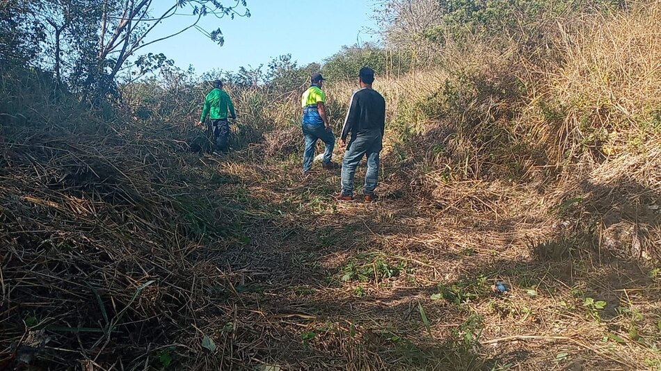 Los incendios de ‘masa vegetal’ persisten en la provincia de Los Santos: Ministerio de Ambiente