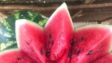 No todo el que deambula está perdido