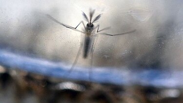 Colombia tiene más de 37 mil casos de zika