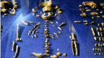 Hallan primo lejano de ‘Homo sapiens’