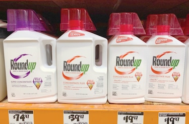 Corte de Estados Unidos confirma condena a Monsanto