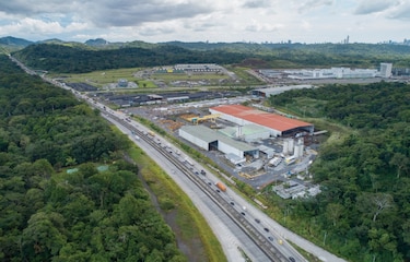 La Ciudad Judicial colinda con bosques de Camino de Cruces