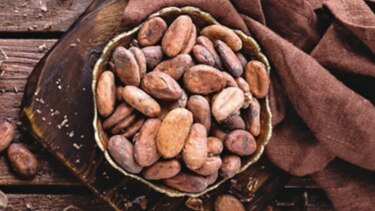 Brasil pretende importar más cacao desde Costa de Marfil